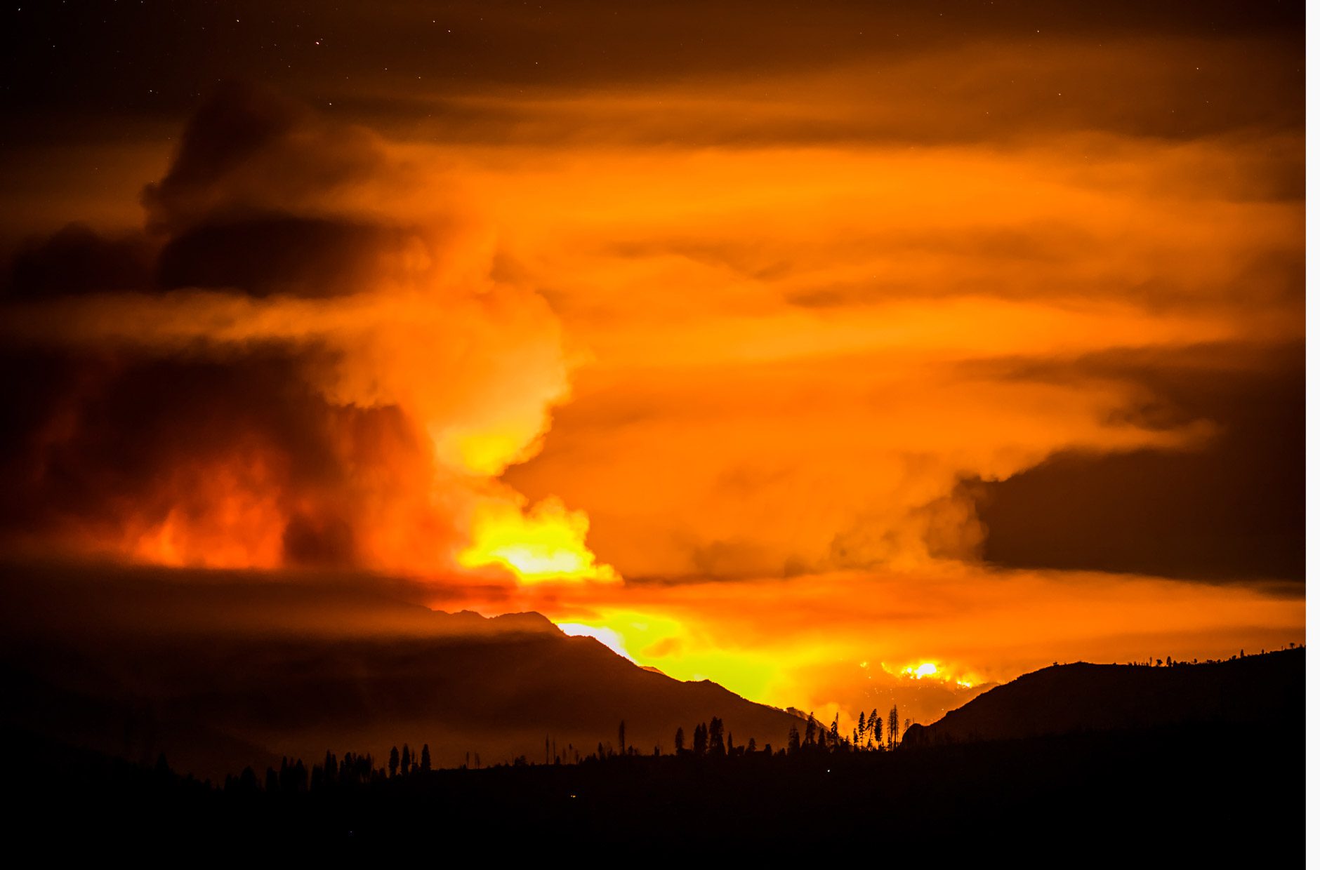 Forest fire and smoke at night under the stars.