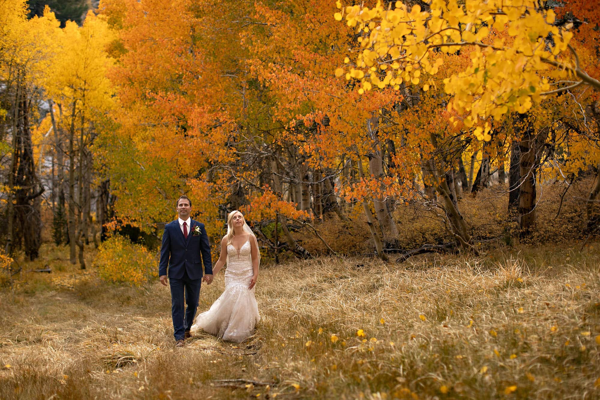 Bride and groom in fall colors in California's Eastern Sierra.